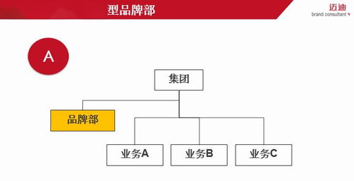 構(gòu)建品牌管理體系 從戰(zhàn)略到執(zhí)行的全方位指南